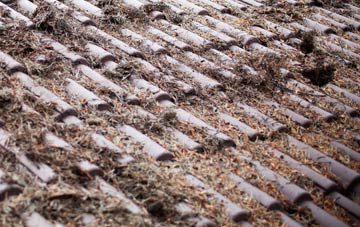 Hales Park roof cleaning companies